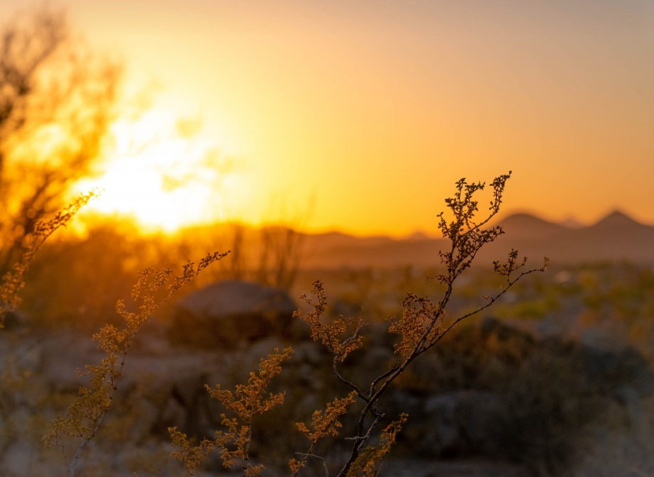 screenshot 2024 05 24 18.15.32